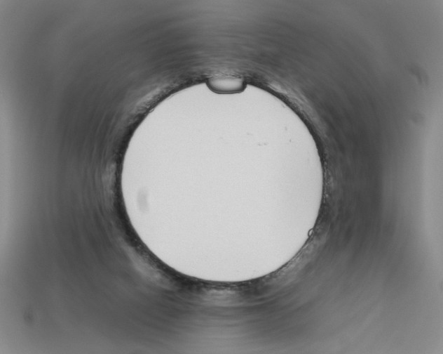 X0000112790066200910021108