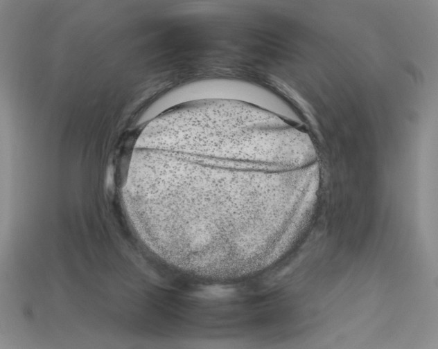 X0000112790067200910021108