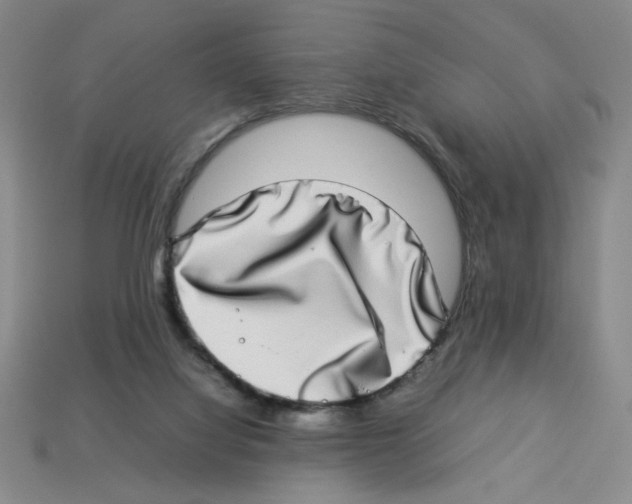 X0000112790068200910021108