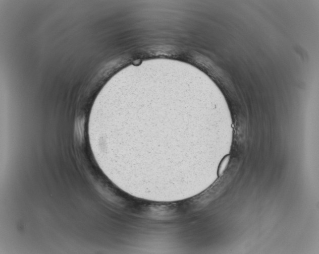 X0000112790070200910021108