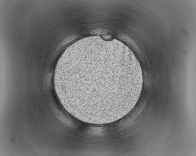 X0000112790071200910021108