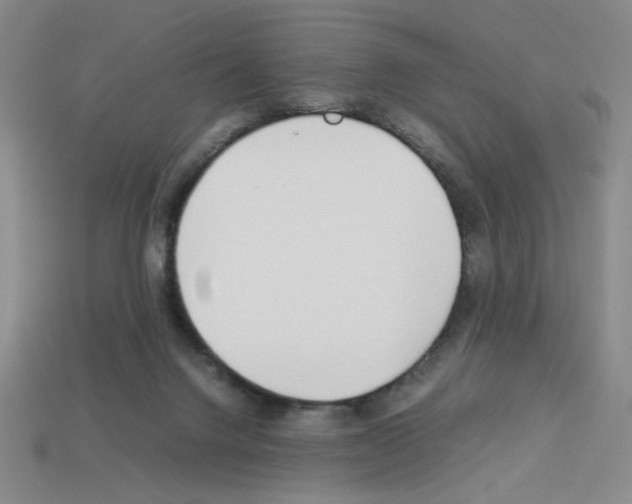 X0000112790072200910021108