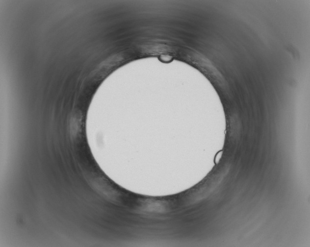 X0000112790073200910021108