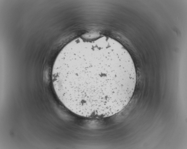 X0000112790074200910021108