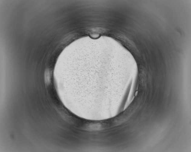 X0000112790075200910021108