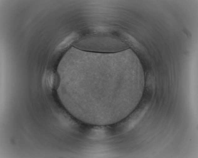 X0000112790076200910021108