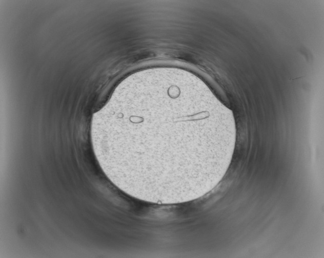 X0000112790078200910021108