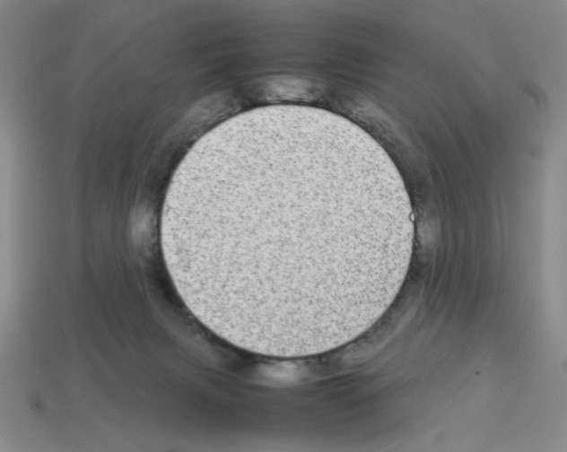 X0000112790079200910021108