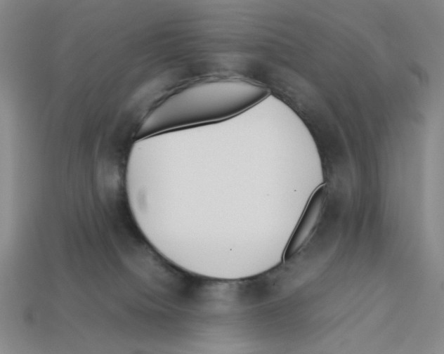 X0000112790084200910021108