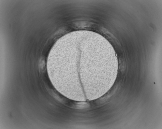 X0000112790087200910021108