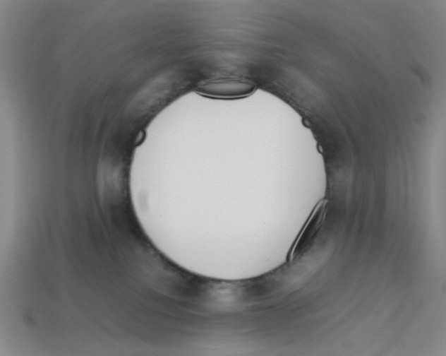 X0000112790088200910021108