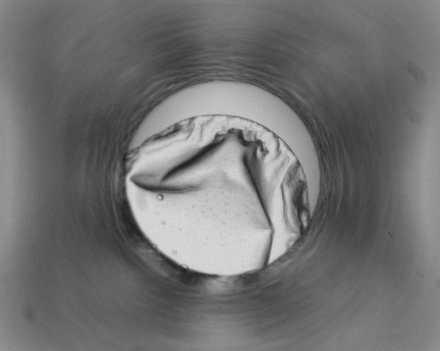 X0000112790092200910021108