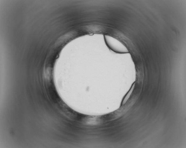 X0000112790093200910021109