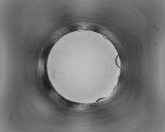 X0000112790094200910021109