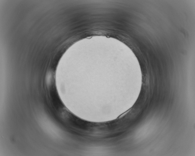 X0000112790095200910021109