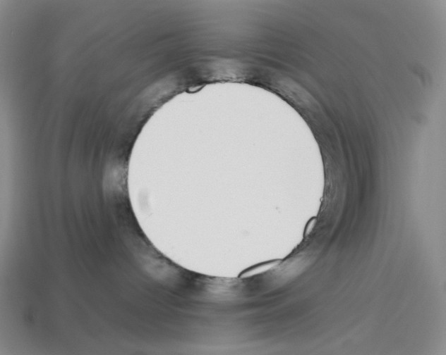 X0000112790096200910021109