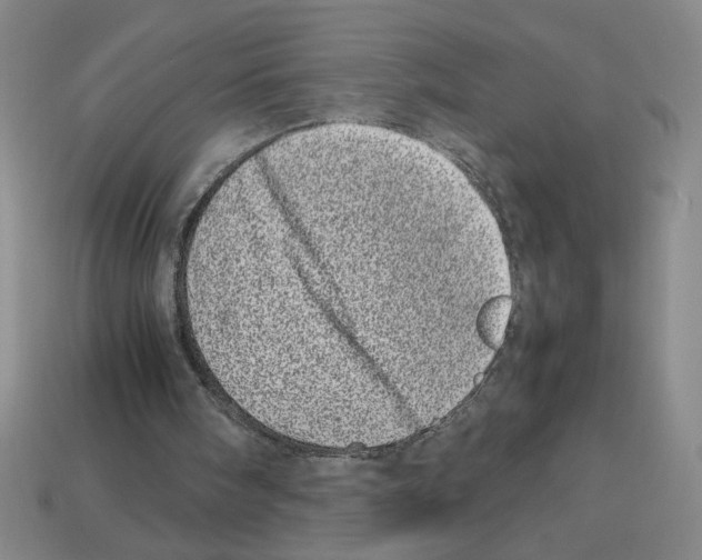 X0000112790098200910021108