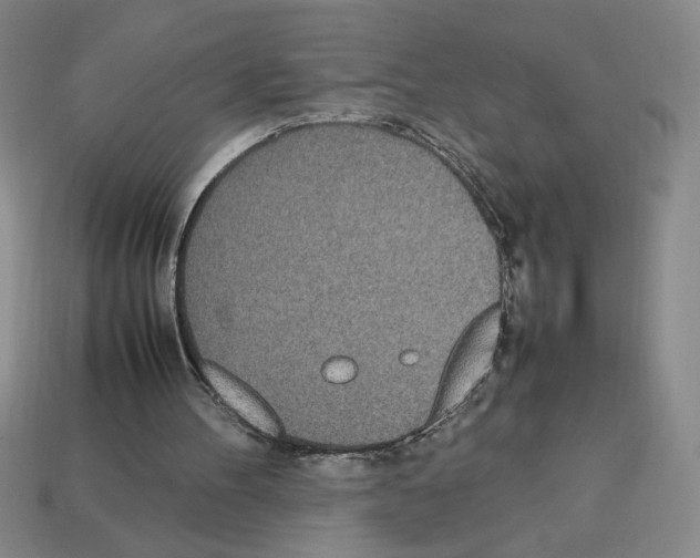 X0000112790100200910021108