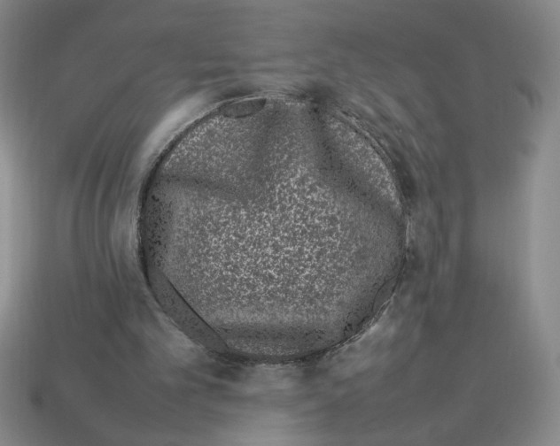 X0000112790101200910021108