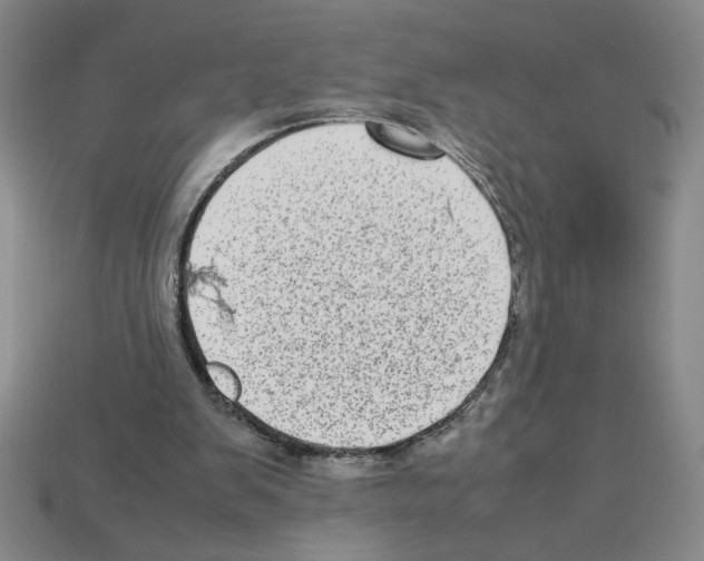 X0000112790103200910021108