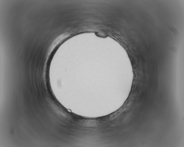 X0000112790104200910021108