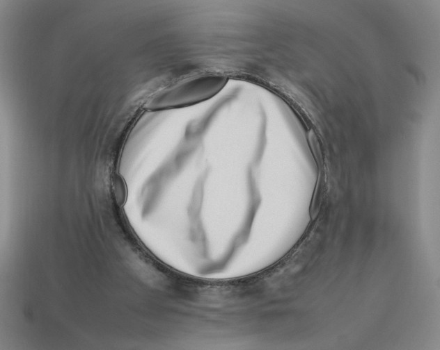 X0000112790105200910021108