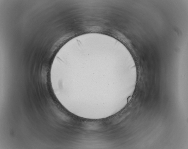 X0000112790106200910021108