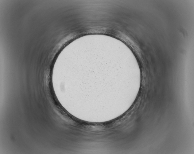 X0000112790107200910021108