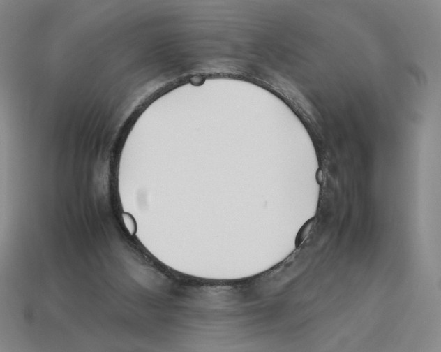 X0000112790108200910021108