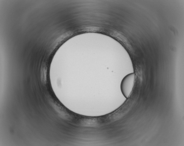 X0000112790110200910021108