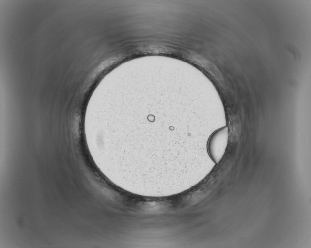 X0000112790111200910021108