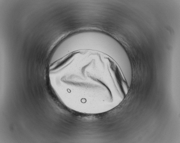 X0000112790112200910021108