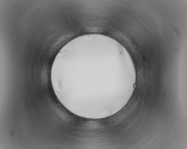 X0000112790114200910021108