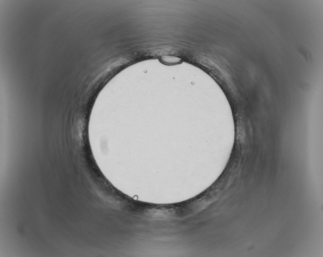 X0000112790115200910021108