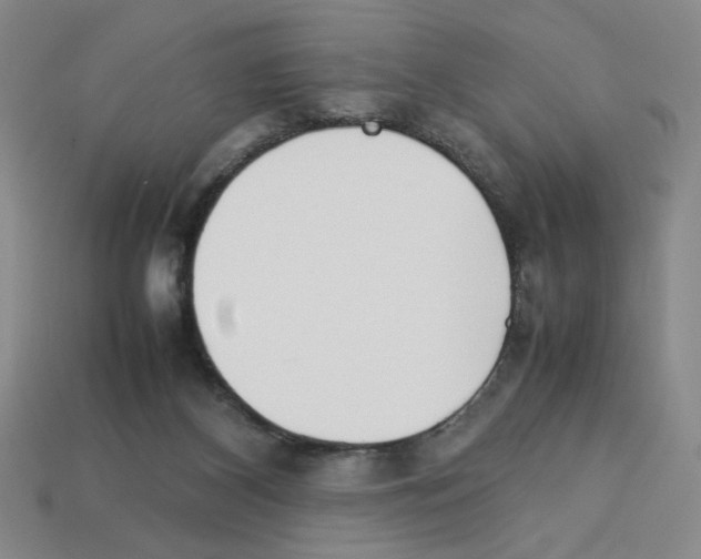 X0000112790116200910021108