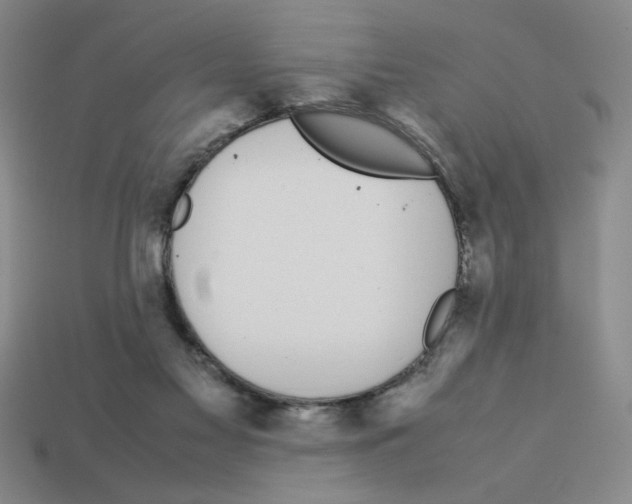 X0000112790117200910021107