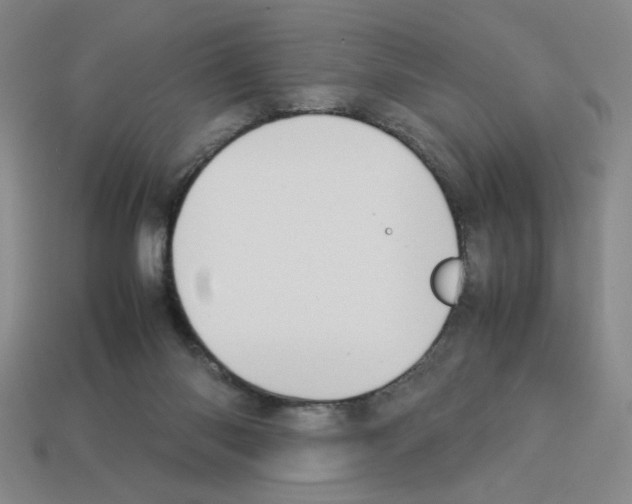 X0000112790118200910021107