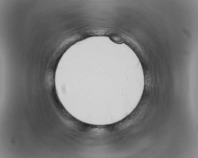 X0000112790119200910021107