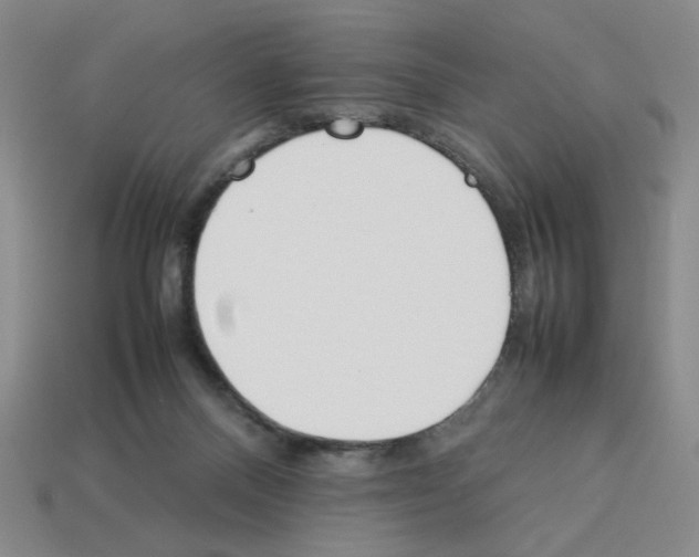 X0000112790120200910021107