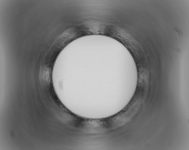 X0000112790121200910021107