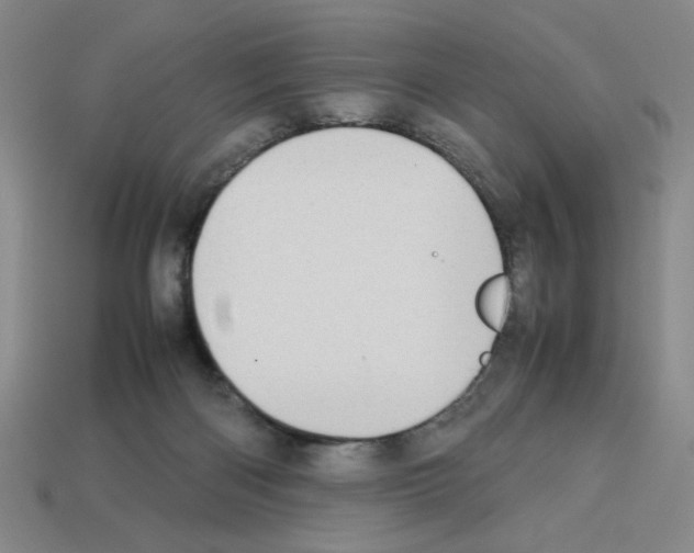 X0000112790122200910021107