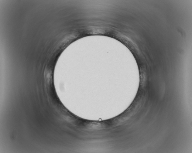 X0000112790123200910021107