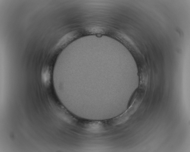 X0000112790124200910021107