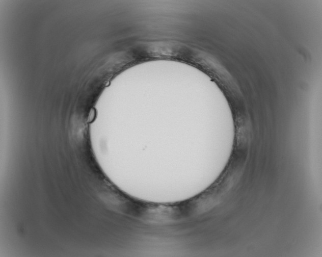 X0000112790125200910021107