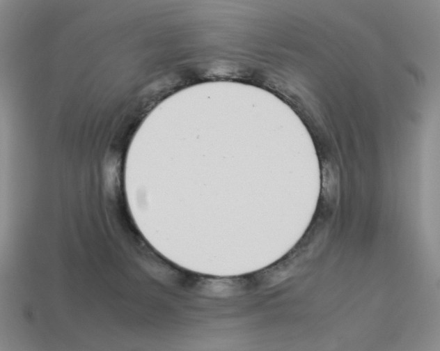 X0000112790127200910021107