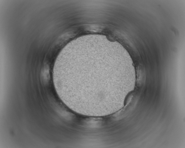 X0000112790128200910021107