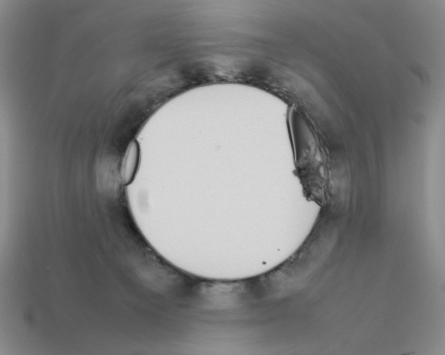 X0000112790129200910021107