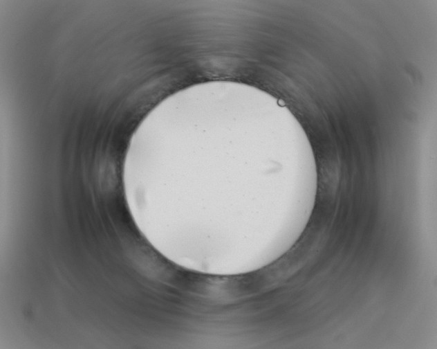 X0000112790130200910021107