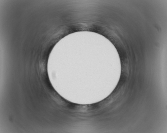 X0000112790131200910021107