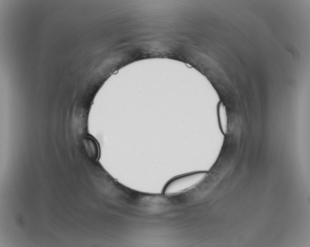 X0000112790133200910021107